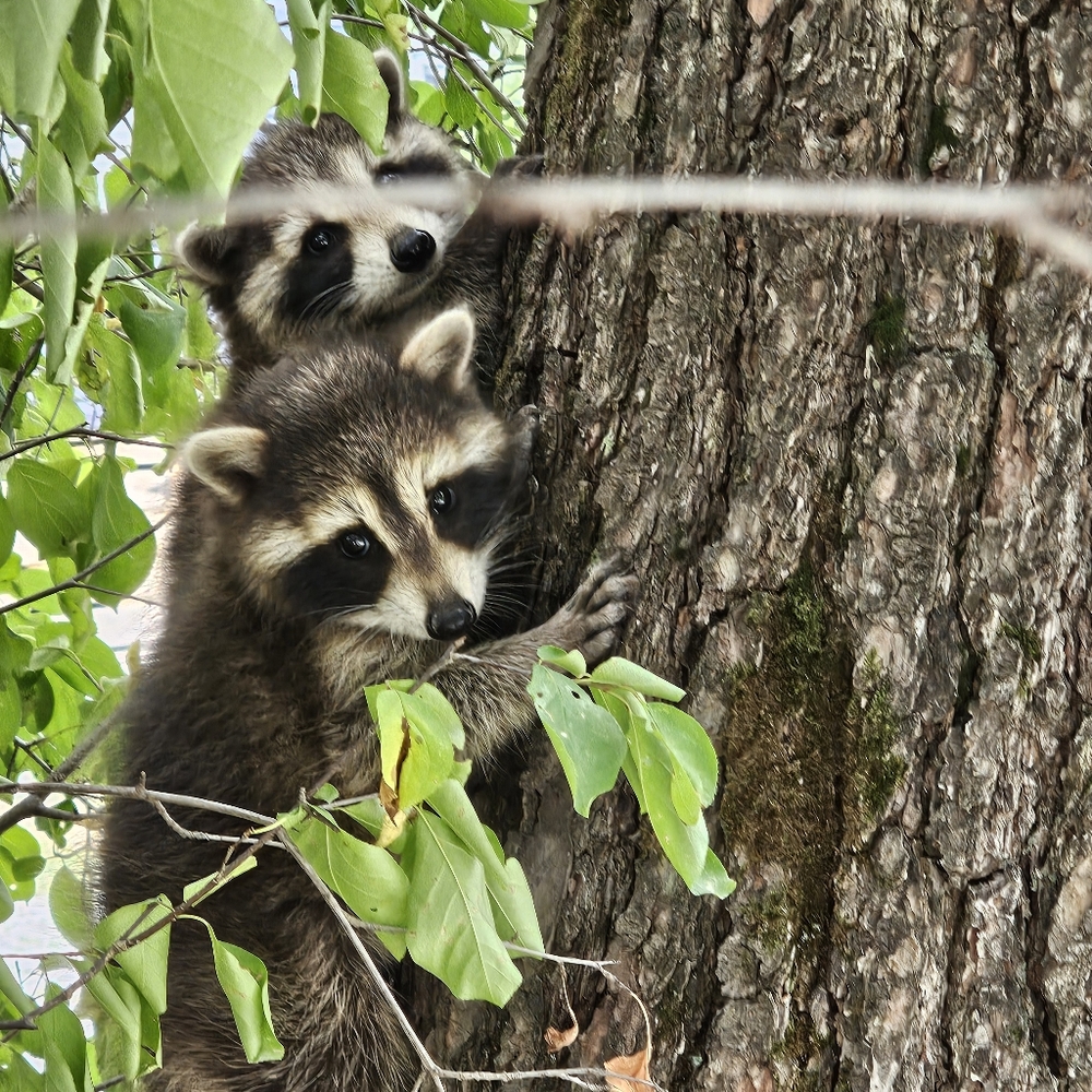 A Little Bit Of Everything!!